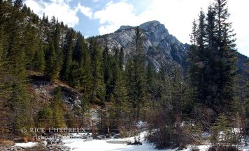 Heart Creek Bridge